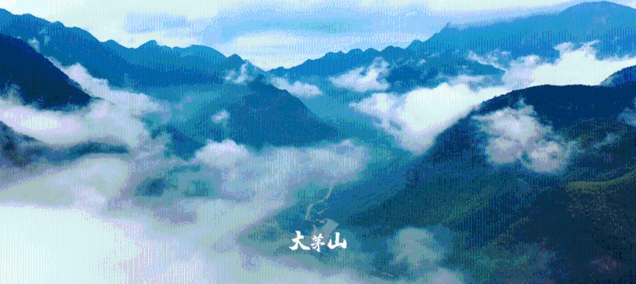照顾可爱小公主